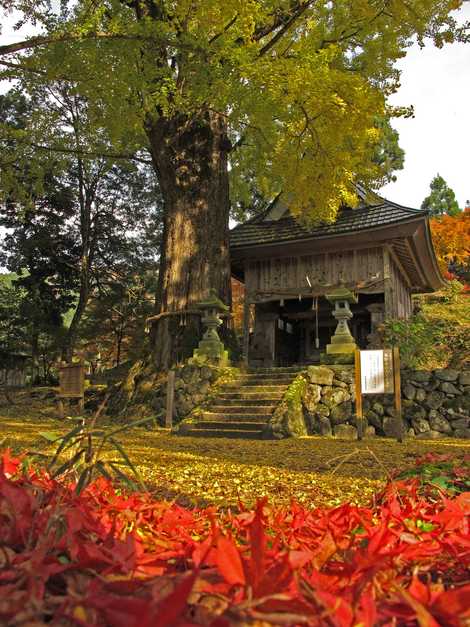 桑原神社の画像