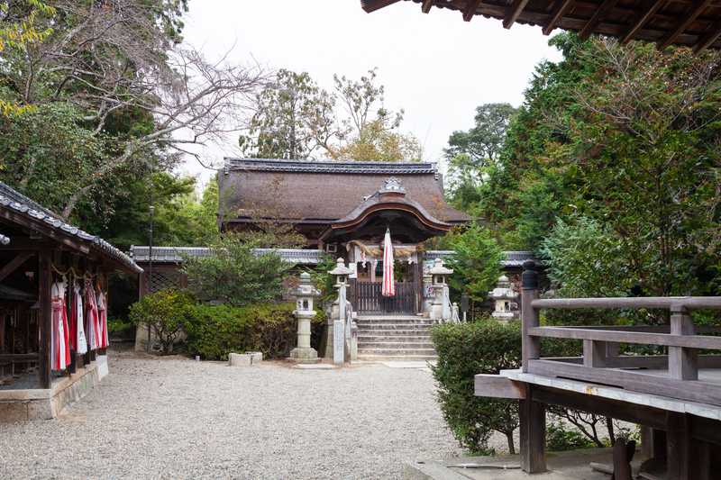 老杉神社の画像