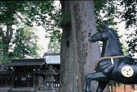 八幡神社と称名寺の画像