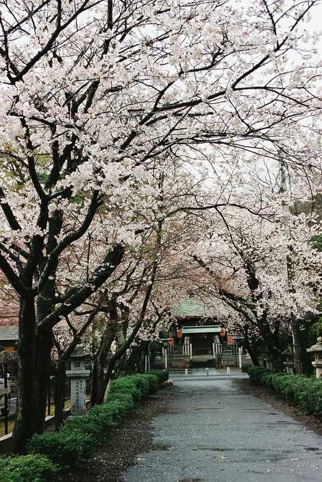 犬上神社の画像