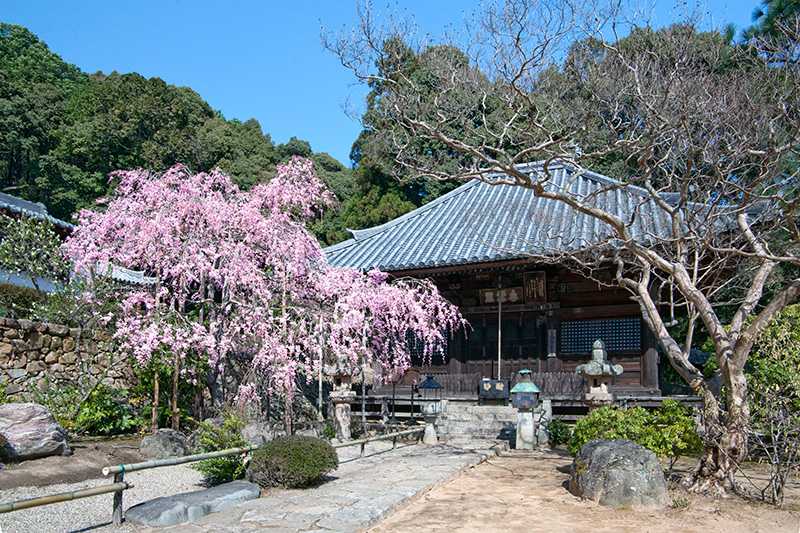 満願寺の画像