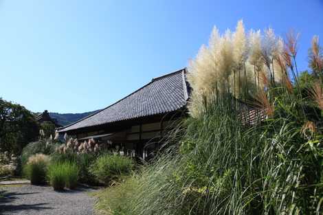 道光寺の画像