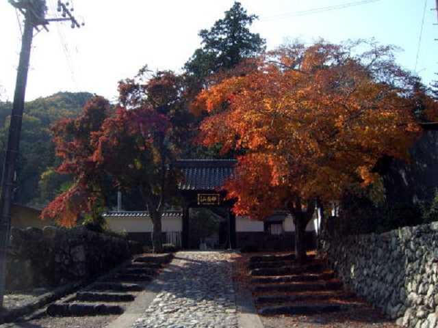 浄蓮寺の画像