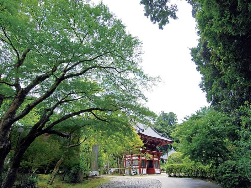 龍福寺の画像