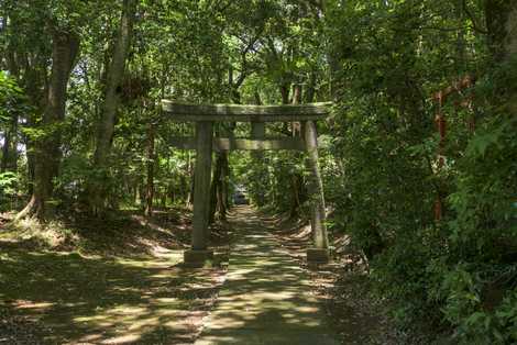 日枝神社の画像