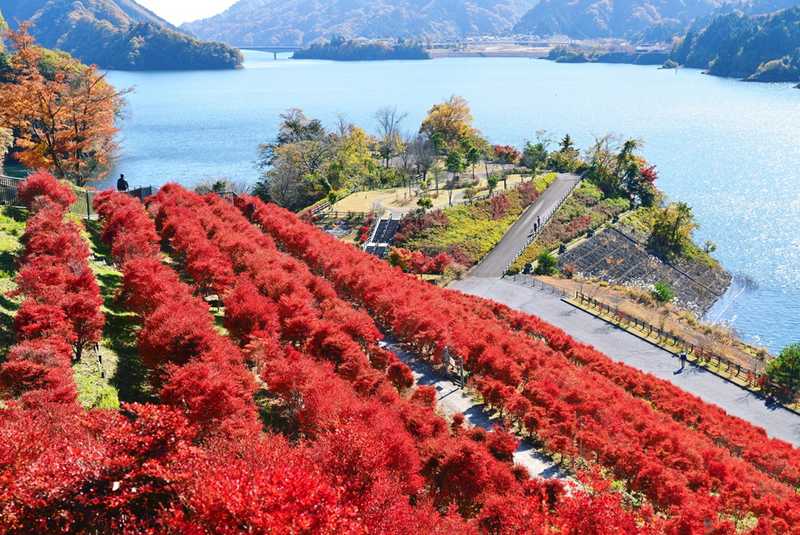 神奈川県立宮ヶ瀬やまなみセンター別館みやがせミーヤ館の画像