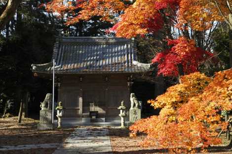 井上神社の画像