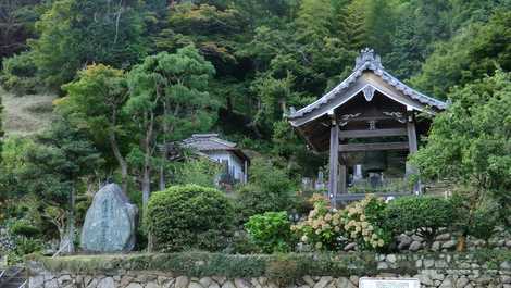 誕生寺 誕生寺の画像