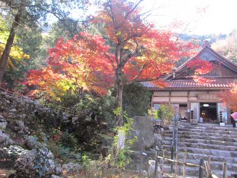 聖寶寺の画像