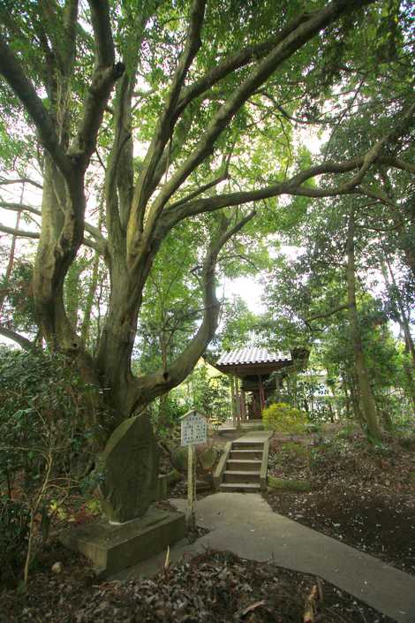 貴船神社の画像