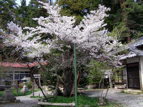 修那羅山安宮神社 修那羅山安宮神社の画像