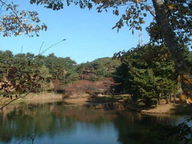 夏無沼キャンプ場 福島 キャンプ場 の施設情報 いつもnavi