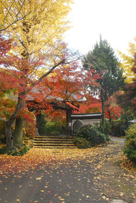 薬王寺の画像