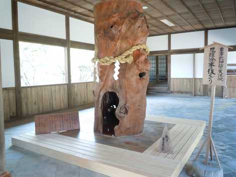 伊太祁曽神社 伊太祁曽神社の画像