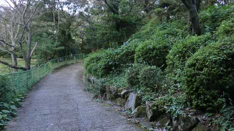 桜の森公園の画像