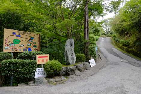 杉村公園 橋本 高野山 レジャー公園 自然公園 の施設情報 いつもnavi