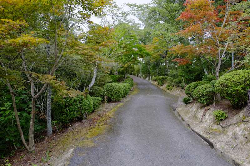 杉村公園 橋本 高野山 の施設情報 ゼンリンいつもnavi