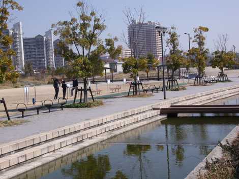 親水中央公園の画像