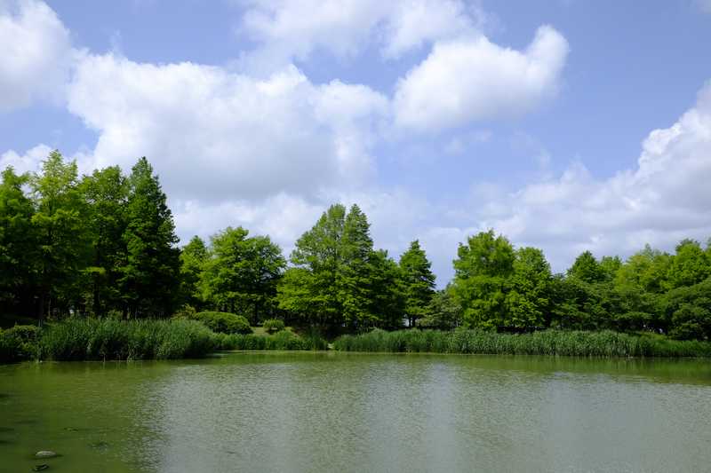 天満大池公園(東播磨)の施設情報｜ゼンリンいつもNAVI