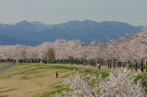 ゆうゆうパーク（鬼怒川河川公園）の画像