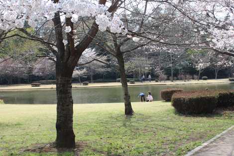 赤塚ふれあい公園の画像