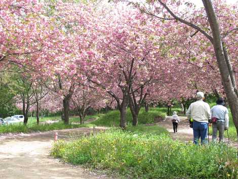 花の丘公園の画像