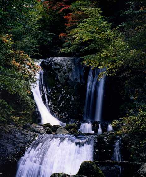 施設の画像