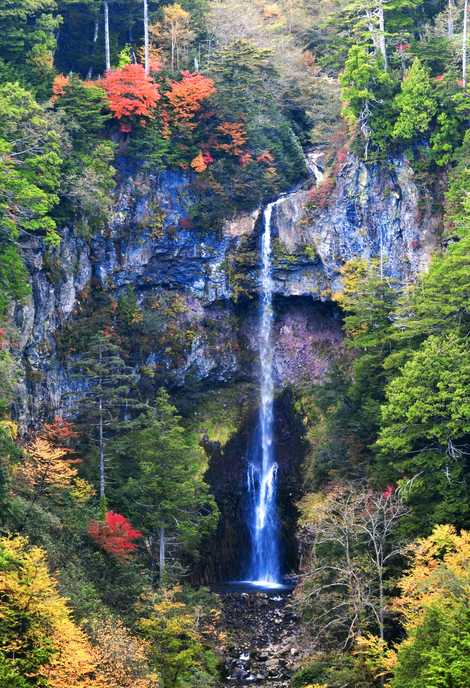 施設の画像