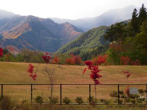 むらやま公園の画像