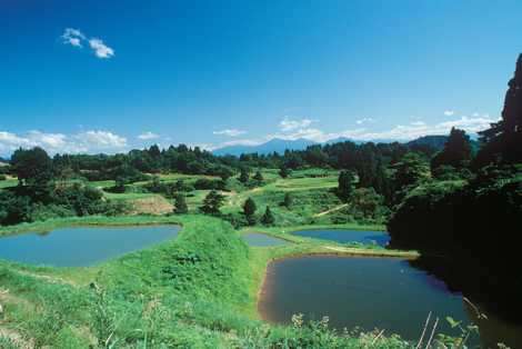 東山地区の養鯉池の画像