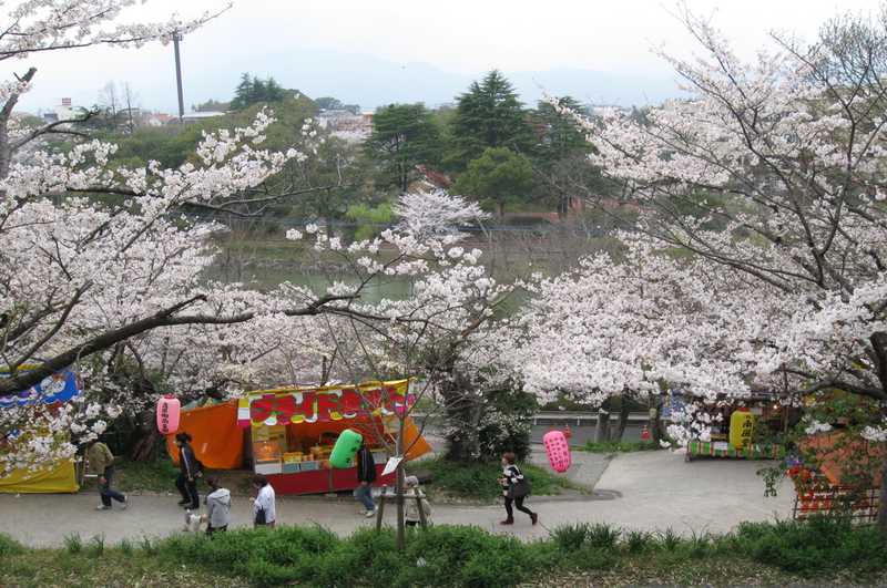 勝盛公園の画像