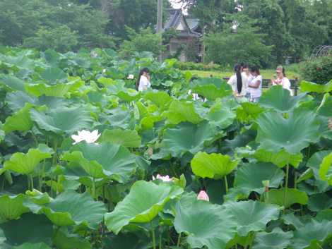 千栗土居公園の画像