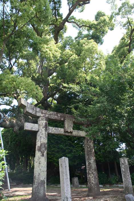 白角折神社の画像