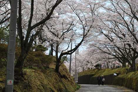 西山公園の画像