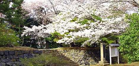 助川城跡公園の画像