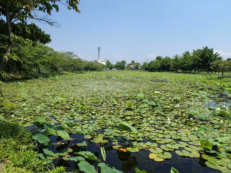 宮の池公園の画像