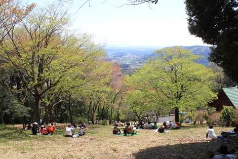 三ツ石森林公園の画像