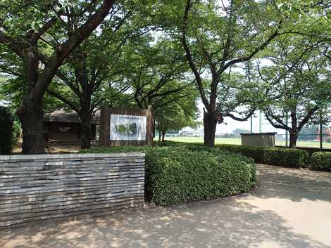 八千代町民公園の画像