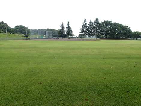 宝堀運動公園の画像