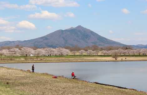 母子島遊水地の画像