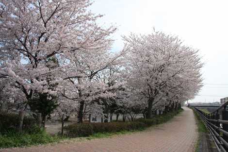 御城公園の画像