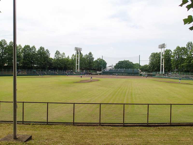 さくら運動公園の画像