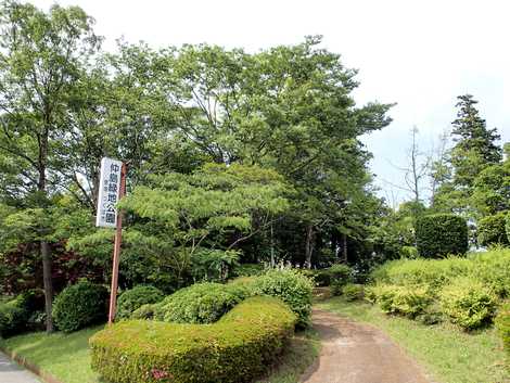 仲島緑地の画像