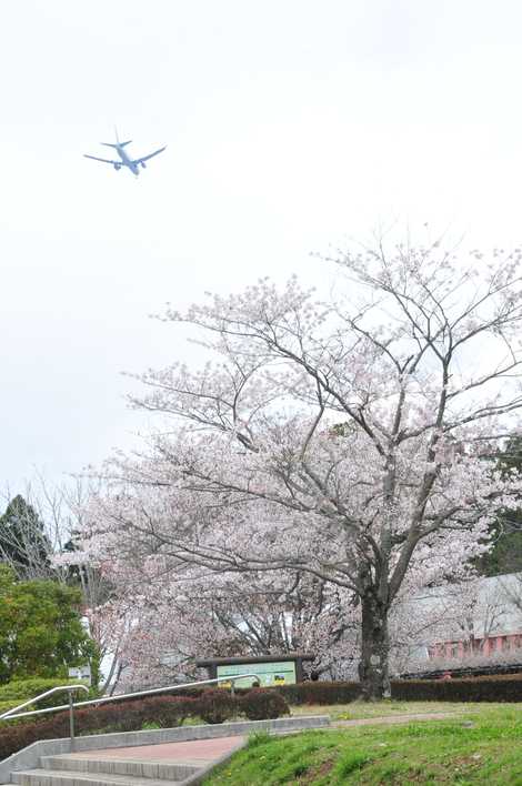 芝山公園の画像