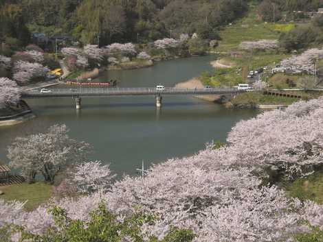 佐久間ダム公園の画像