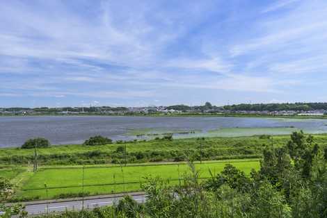 県立印旛沼公園 成田 佐倉 星 天体観測 の施設情報 いつもnavi