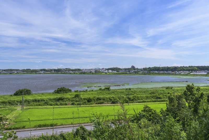 県立印旛沼公園の画像