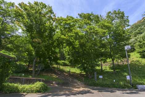 木下万葉公園の画像