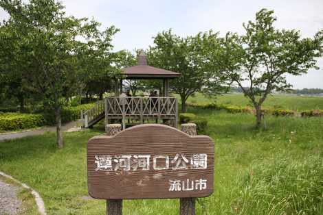 運河河口公園の画像