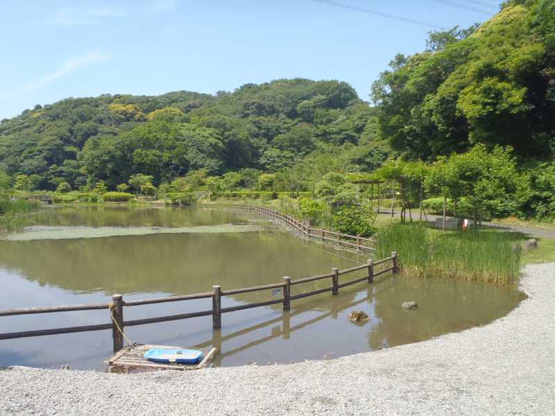 横須賀市役所 環境政策部 光の丘水辺公園 横須賀 逗子 の施設情報 ゼンリンいつもnavi